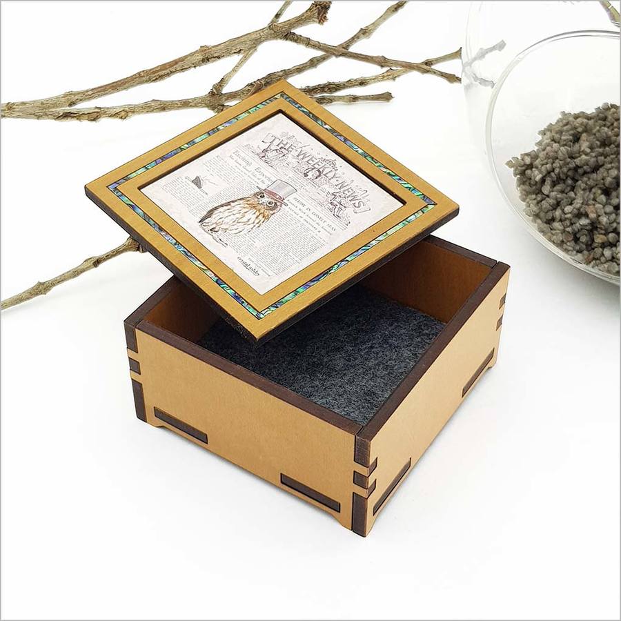 Small Trinket Box: Vintage Morepork