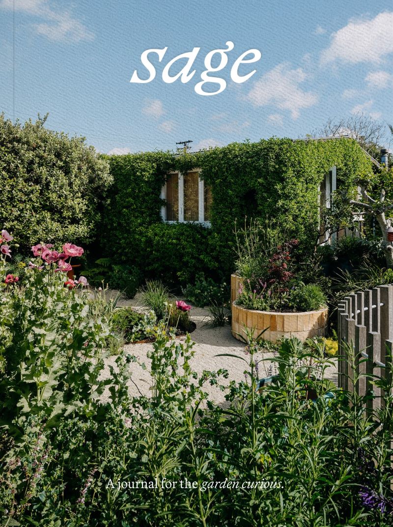 Sage - Vol.2: Our Creative Nature - Journal
