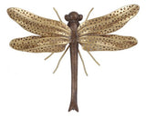 Dragonfly On Wire Legs Decor GOLD - Set of 2