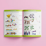 School Zone Big Spiro Workbook Maths
