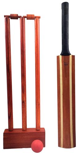 Vintage Cricket Set
