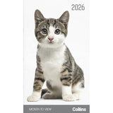 Collins Diary Slim Cats & Kittens Month to View 2026 - Smartfox