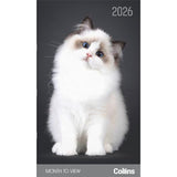 Collins Diary Slim Cats & Kittens Month to View 2026 - Smartfox