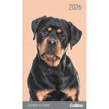 Collins Diary Slim Cats & Kittens Month to View 2026 - Smartfox