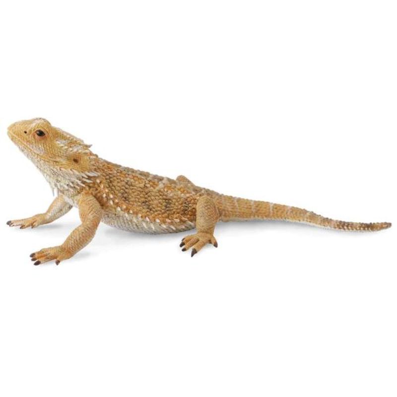 CollectA Bearded Dragon Lizard