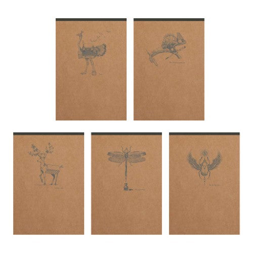 Flying Spirit Clothbound Notepad A6 Asstd Kraft