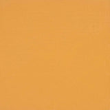 BLOCKX Oil Tube 20ml in Chrome Titanium Yellow (442) offers vibrant, high-quality oil paint for seamless mixing and rich textures.