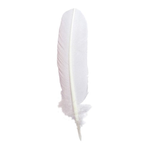 Elegant 28cm white goose quill pen for traditional calligraphy and stylish writing, ideal for parchment paper.