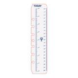 Debden Desk Dayplanner Today Ruler, Pack of 2