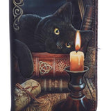 Lisa Parker Witching Hour Cat Witch Purse Black 18.5cm - Nemesis Now