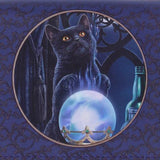 Lisa Parker The Witches Apprentice Cat Crystal Ball Purse 18.5cm - Nemesis Now