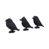 Three Wise Ravens 8.7cm - Nemesis Now