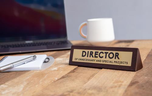 Director Wooden Desk Sign - Pack of 2