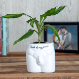 Look At My Prick Novelty Plant Pot - Pack of 3