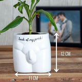 Look At My Prick Novelty Plant Pot - Pack of 3