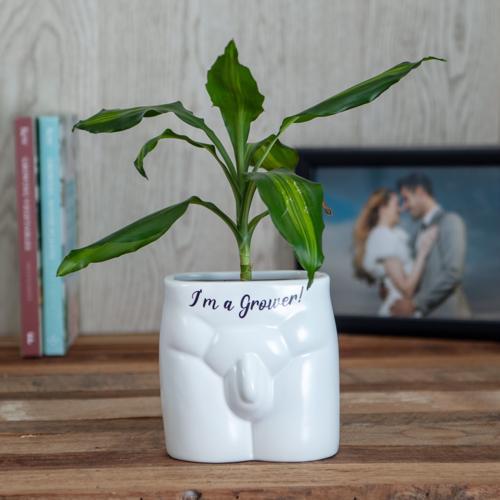I'm A Grower Novelty Plant Pot - Pack of 3