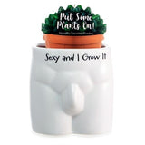 Sexy and I Grow It Novelty Plant Pot - Pack of 3