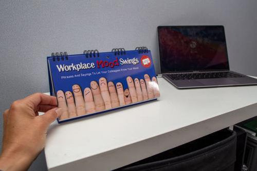 Workplace Mood Swings Desktop Flip Book - Pack of 2
