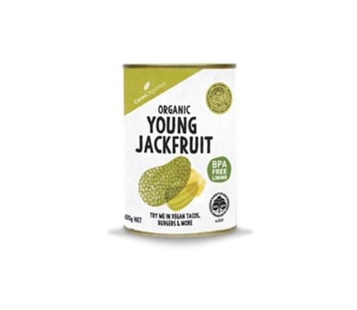 JACKFRUIT YOUNG IN WATER ORGANIC 400GM  - Ceres