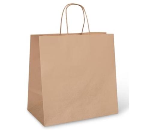 BAGS PAPER W/TWIST HANDLE LARGE BROWN 250s  - Detpak