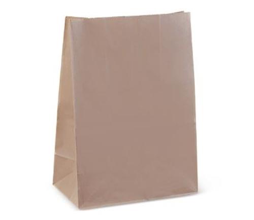 BAGS CHECKOUT 310x200x110MM MINI 250s  - Essentials