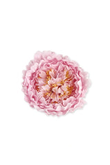 XL PEONY HEAD