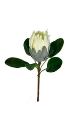 Mixed Protea Wedding Set (6 Pcs)