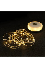 Rechargeable LED Seed Light