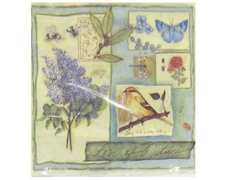 Vibrant Garden Life Cocktail Napkins, 2-ply, 25 x 25 cm, perfect for parties and casual gatherings, pack of 20.