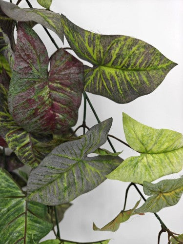 Artificial Hanging Velvet Nephthytis Leaf - Green