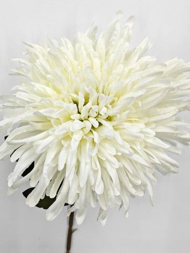 Artificial Chrysanthemum Flower Stem - Large - White