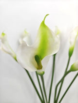 Artificial Calla Lily Flower Stem - Large - White