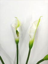 Artificial Calla Lily Flower Stem - Large - White