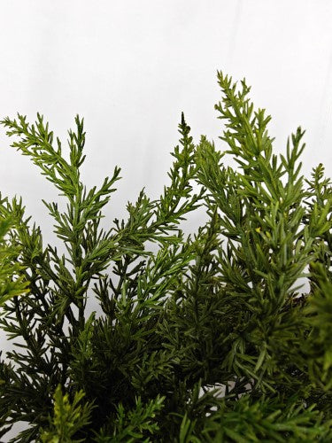 Artificial Cypress Wreath - Real Touch - 50cm