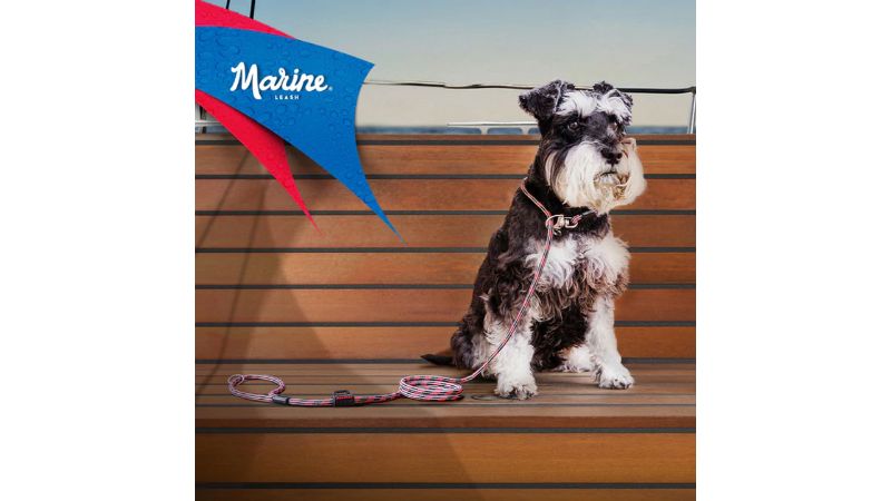 Dog Leash - ED Marine Lite (Black)