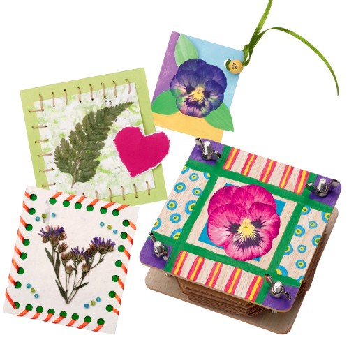 Alex Flower Press Kit