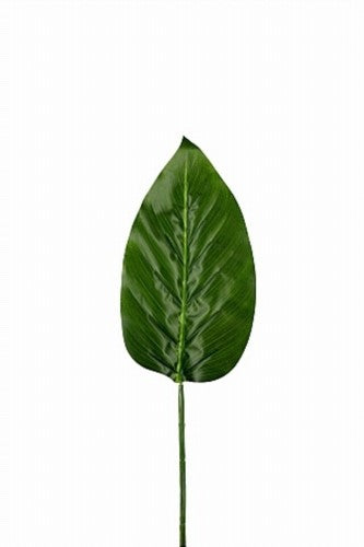 Artificial - Arum Leaf x 7  - Pack of  2