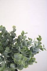 Artificial - Eucalyptus Spray  - Pack of  6