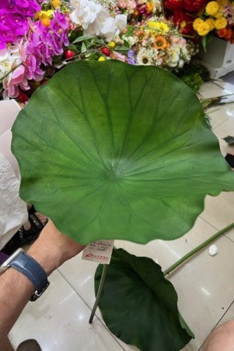 Artificial - Deluxe Lotus Leaf  - Pack of  6