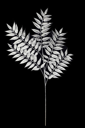 Artificial - Ash Leaves With 5 Branches  - Pack of  4