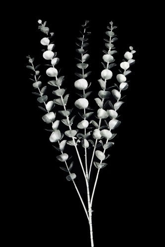 Artificial - Eucalyptus Spray  - Pack of  4