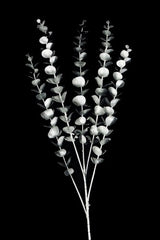 Artificial - Eucalyptus Spray  - Pack of  4