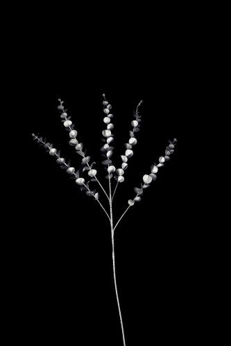 Artificial - Eucalyptus Spray  - Pack of  4