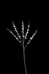 Artificial - Eucalyptus Spray  - Pack of  4