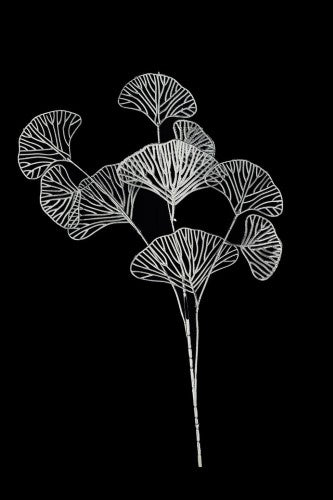 Artificial - Skeleton Gingo Leaf - Set of 4