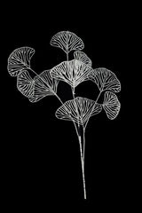 Artificial - Skeleton Gingo Leaf - Set of 4