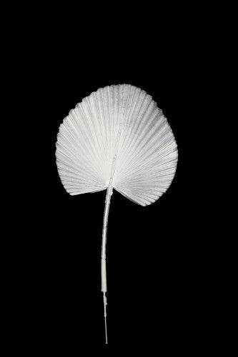 Artificial - Medium Fan Palm  - Pack of  4
