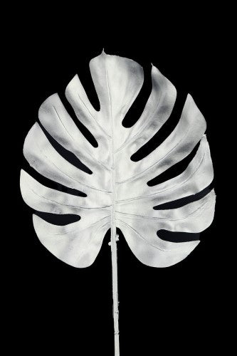 Artificial - Monstera Split Philo Leaf  - Pack of  4