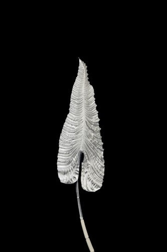 Artificial - Giant Anthurium Leaf  - Pack of  4