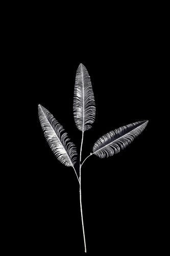 Artificial - Fern Spray  - Pack of  4